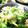 クッキン坊主's cooksnap of when they made 時短簡単♪韮と胡瓜ともやしのピリ辛ナムル.