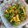 すみぱんだ☆'s cooksnap of when they made 簡単！作り置き！　ピーマンとじゃこ炒め.