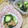hanemakoo's cooksnap of when they made きゅうりのなめたけ和え.