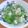 えりこ82☆'s cooksnap of when they made オクラと大根おろし.