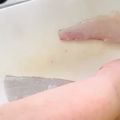 ♡マッキークッキング's cooksnap of when they made 簡単【白身魚で・昆布締め】.