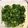 クック66Z1TW☆'s cooksnap of when they made ご飯に合う大葉.