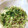 Ocean_ray's cooksnap of when they made 簡単うま～い☆ツナマヨ丼～.