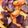 anomalo's cooksnap of when they made シャドークイーンのジャーマンポテト.