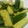 クック3V40C5☆'s cooksnap of when they made ★やみつき★　簡単　♪きゅうりの炒め物♪.