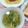 在宅勤務のおじさん's cooksnap of when they made 簡単☆玉葱と茗荷の優しい洋風香味スープ.
