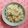 クック021E2T☆'s cooksnap of when they made ガリと鮭フレークの混ぜご飯.