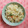 クック021E2T☆'s cooksnap of when they made ガリと鮭フレークの混ぜご飯.