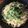 珍獣使い's cooksnap of when they made おろしきゅうりのパスタ.