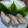kirinda's cooksnap of when they made 鶏わさ.