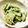 おっクック☆'s cooksnap of when they made ささげのごま味噌マヨ和え.
