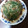 のりにてぃ's cooksnap of when they made ふわふわお好み焼き.