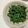 明日の風☆'s cooksnap of when they made 十六ささぎの生姜醤油あえ.