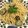 keiO3's cooksnap of when they made 絶品！なすとアンチョビのオイルパスタ.