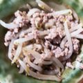 sakuradesu's cooksnap of when they made 簡単！豚ひき肉ともやしの炒め物☆.