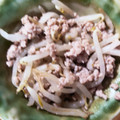 sakuradesu's cooksnap of when they made 簡単！豚ひき肉ともやしの炒め物☆.