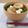 Yukiまむ's cooksnap of when they made あぶら麩で味噌汁.