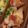 LunaJuno's cooksnap of when they made 簡単★ヘルシー鶏モモ肉の梅おろしのせ.