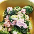 まさかんちゃん's cooksnap of when they made ブロッコリーのマスタードツナマヨ和え.