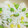 ょわにさく's cooksnap of when they made とうもろこしと枝豆の炊き込みご飯.
