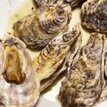 Marmo's cooksnap of when they made 殻付き牡蠣 レンジ調理.