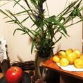 たかたかtacafe's cooksnap of when they made 急に団子が作りたい！簡単さつまいも団子.