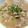 ねこはがき's cooksnap of when they made ☼豚バラと冬瓜のオイスターソースの炒め煮.