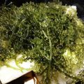 クック7FNN0F☆'s cooksnap of when they made ちゃちゃっと海ぶどう君.