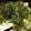 クック7FNN0F☆'s cooksnap of when they made ちゃちゃっと海ぶどう君.