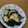 みぃくんのママ's cooksnap of when they made なすときゅうりのわさび漬け.