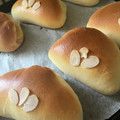 Minnie･∀･★'s cooksnap of when they made ＊ふわとろ～クリームパン＊.