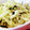 pyonpoco's cooksnap of when they made 激ウマ★塩昆布キャベツ(マヨ).