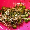 サンタJr's cooksnap of when they made 夏にサッパリ！梅オクラとカイワレのあえ物.
