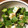さちえちゃん！'s cooksnap of when they made オクラとチーズの黒こしょう和え.