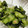 クックN3RI67☆'s cooksnap of when they made わかめときゅうりの梅ポンおかか和え.