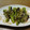 びんびーる's cooksnap of when they made ししとうの網焼き.