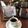 こつゆ514's cooksnap of when they made 円錐ドリップコーヒーの淹れ方.