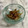 ナピト's cooksnap of when they made ごぼうと豚肉のカレー煮.