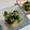 fl＊＊'s cooksnap of when they made 小松菜とベーコンのバター炒め.