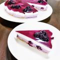 ちえたろう's cooksnap of when they made 三層のブルーベリーレアチーズケーキ.
