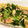 rin0418r24's cooksnap of when they made 小松菜とサバの味噌煮缶の炒め物.