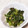 わたさな2016's cooksnap of when they made つるむらさき胡麻和え.