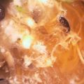 クックS5N2AF☆'s cooksnap of when they made 簡単うどん（風邪・病気・夜食に）.
