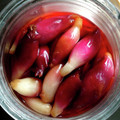 チコリママ's cooksnap of when they made みょうがの甘酢漬け.