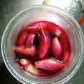 チコリママ's cooksnap of when they made 簡単にすぐできる♥ミョウガの梅酢漬け.