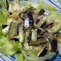 mihotti33's cooksnap of when they made ✿水なすと蒸し鶏のサラダ✿.
