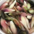 Yokchina's cooksnap of when they made みょうがの酢漬け.