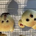 れもそ's cooksnap of when they made 子どもでもできる！動物パン.