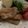 ﾌﾞﾚﾝﾀﾞ's cooksnap of when they made 豚ソテー肉で味噌漬けの生姜焼き.