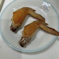 さとちょふ's cooksnap of when they made 皮パリパリのコツ♪手羽先焼き.